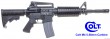 Gun (6)